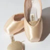 0559 Pointe Shoe Dryers -Grishko Dance Wear Store 0100000000001377 1 0559 jpg 637544371100000000