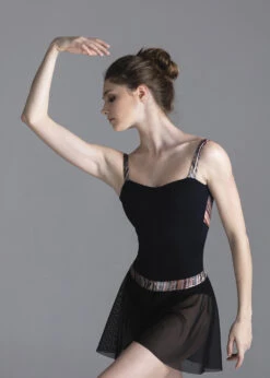 DA1908 Mesh Skirt, Bolshoi Stars. The Dream -Grishko Dance Wear Store 0100000000001659 5 DA1900MP jpg 637995293450000000