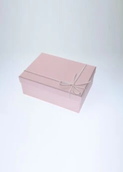 0521SW3 COLOR, Souvenir Pointe Shoes -Grishko Dance Wear Store 0100000000003972 13 IMG 5132 jpeg 638107712450000000