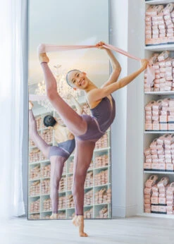 TT002G Resistance Bands (4pcs)