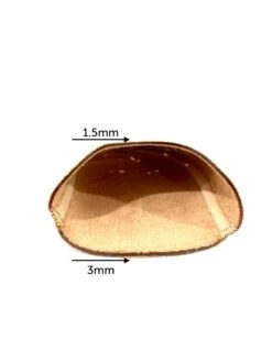 1021 Moleskin “PRO” Toe Pads -Grishko Dance Wear Store 0100000000004539 3 102120 3 jpg 638596717060000000